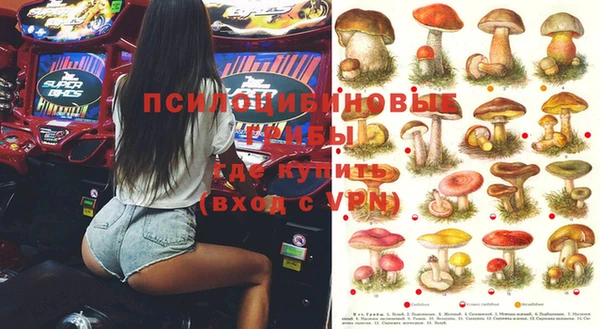 MDMA Белокуриха