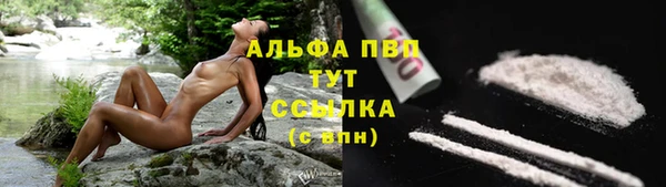 стафф Баксан
