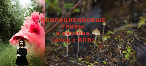 MDMA Белокуриха