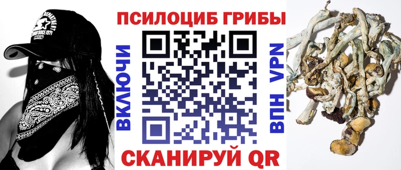 Псилоцибиновые грибы Psilocybine cubensis Раменское